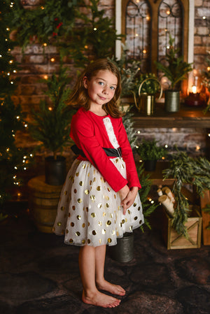 SANTA TUTU DRESS