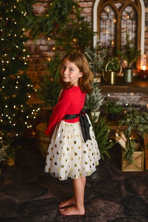 SANTA TUTU DRESS