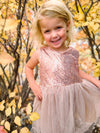 CHAMPAGNE SPARKLE TUTU DRESS